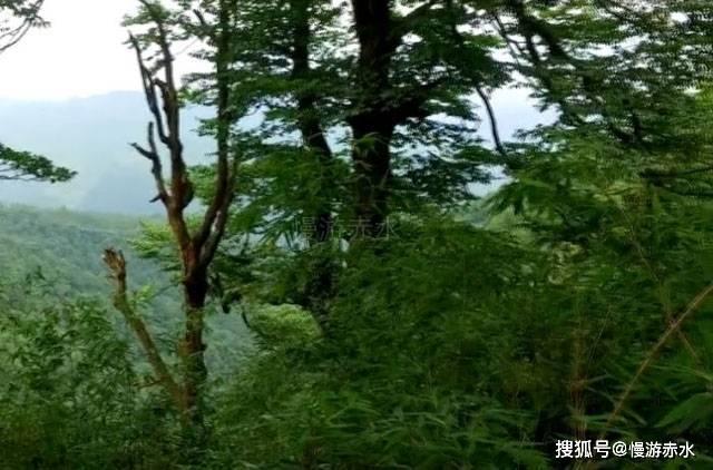 地狱天使