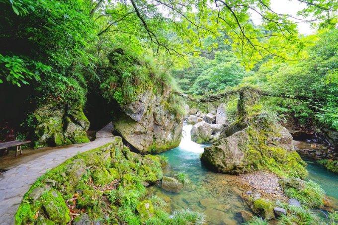 早餐开成“十元店” 不限量 免费续